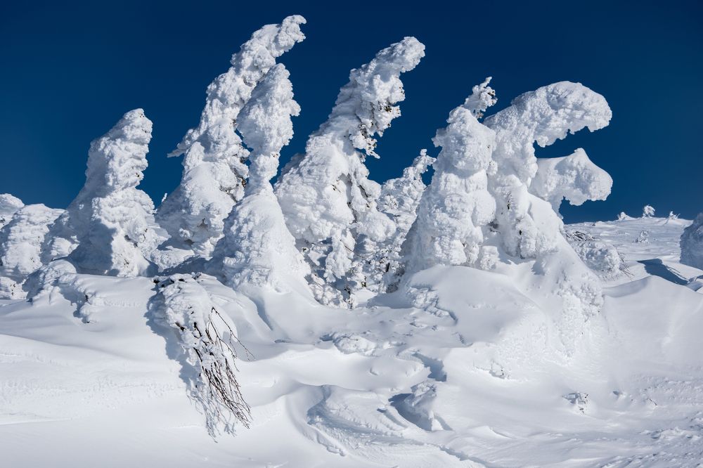 Photograph by Алёна Ивочкина