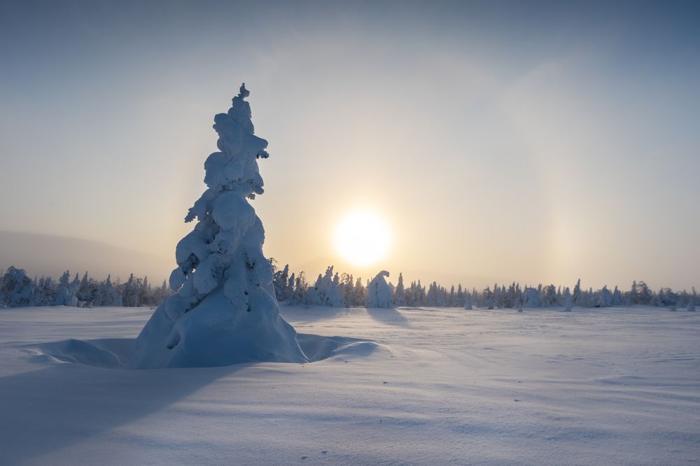 Photograph by Алёна Ивочкина