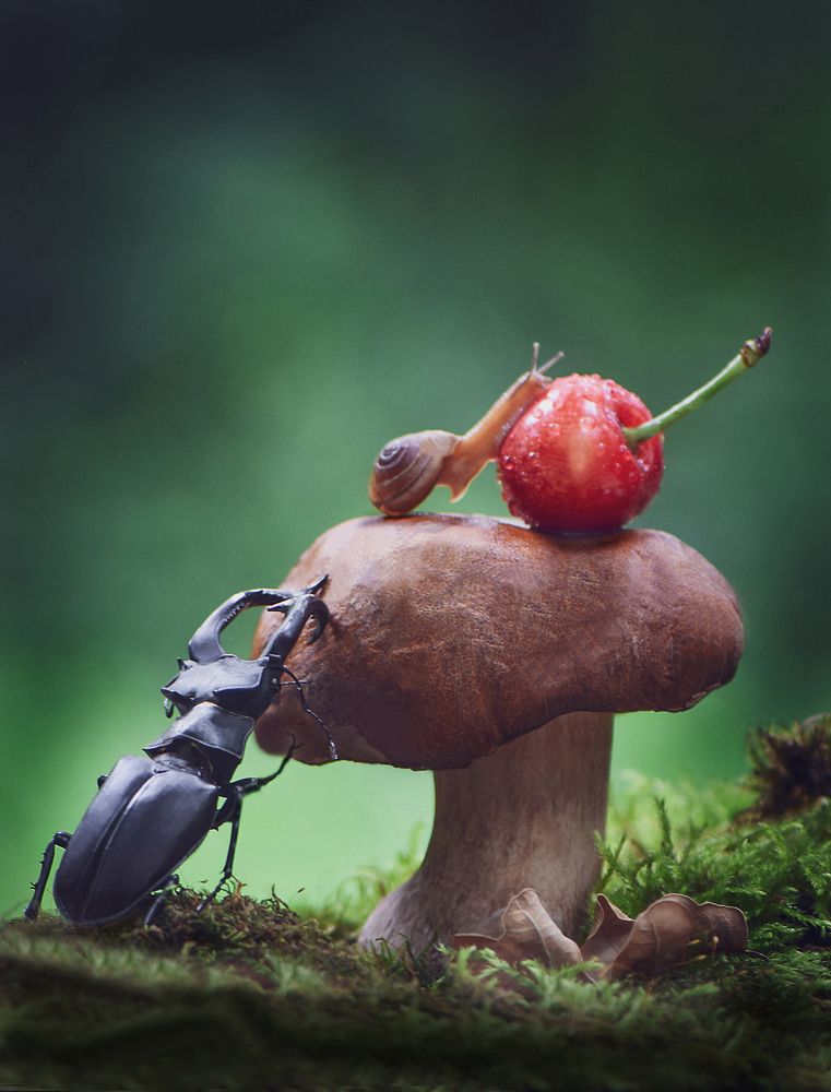 Photograph by Виктория Быканова