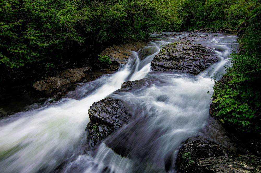 Photograph by Wiktor Kulesa