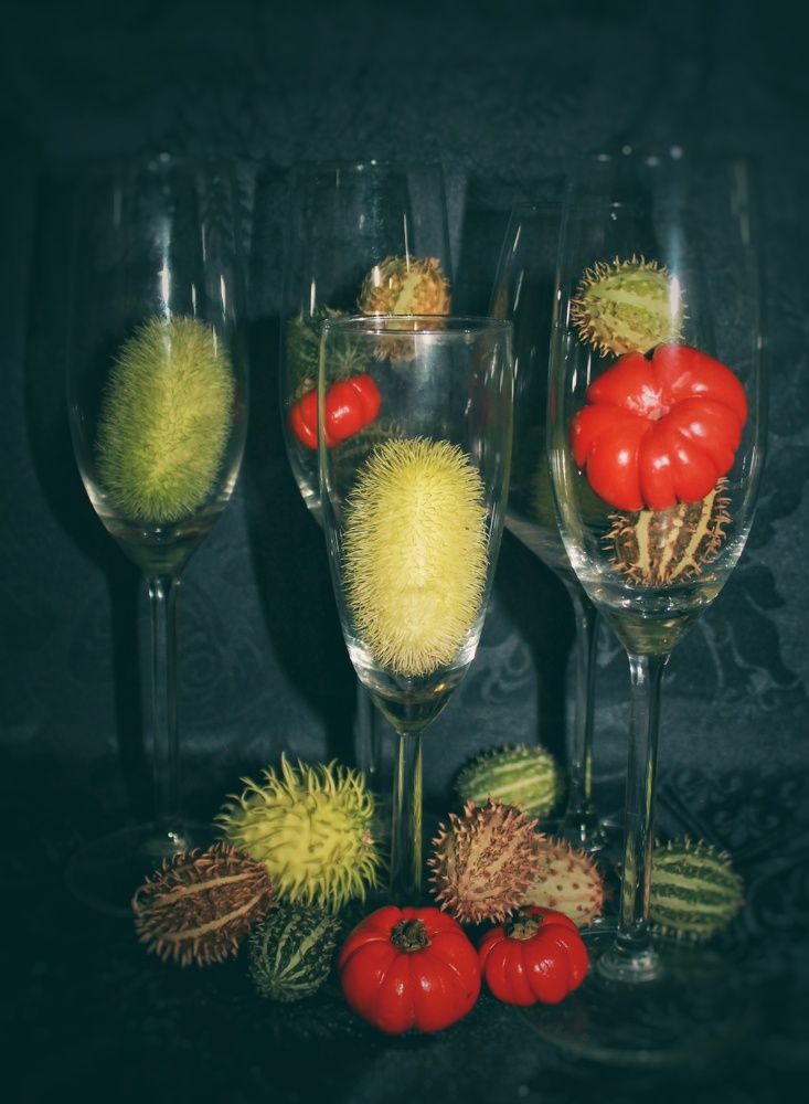 Photograph by Natalija Bucinska