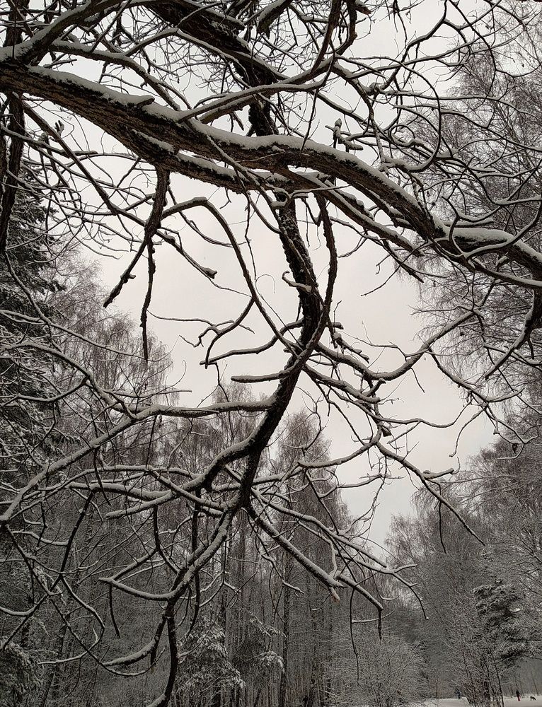 Photograph by Людмила М