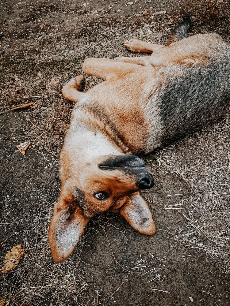 Photograph by Юлия Мишина