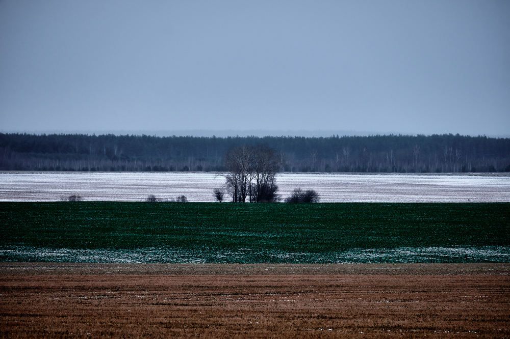 Photograph by Пётр Дедковский