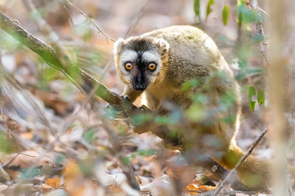 Photograph by Сергей Савви