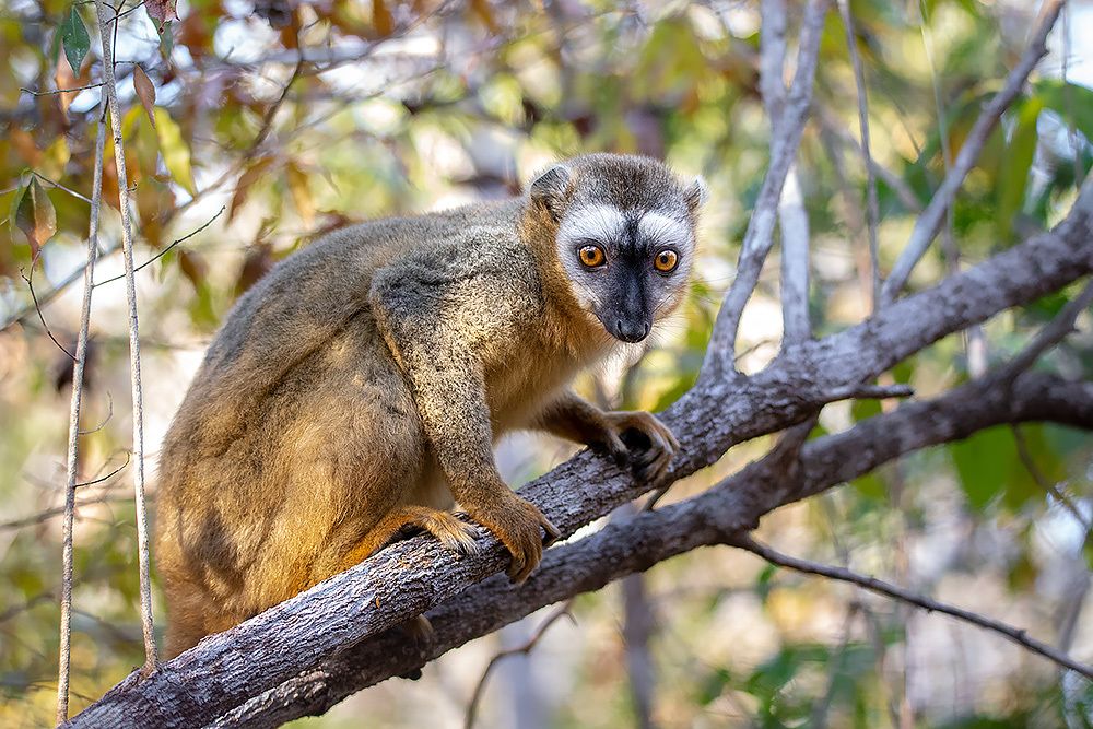 Photograph by Сергей Савви