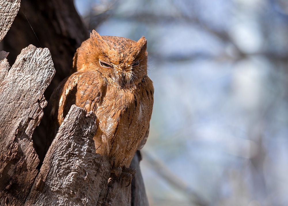 Photograph by Сергей Савви
