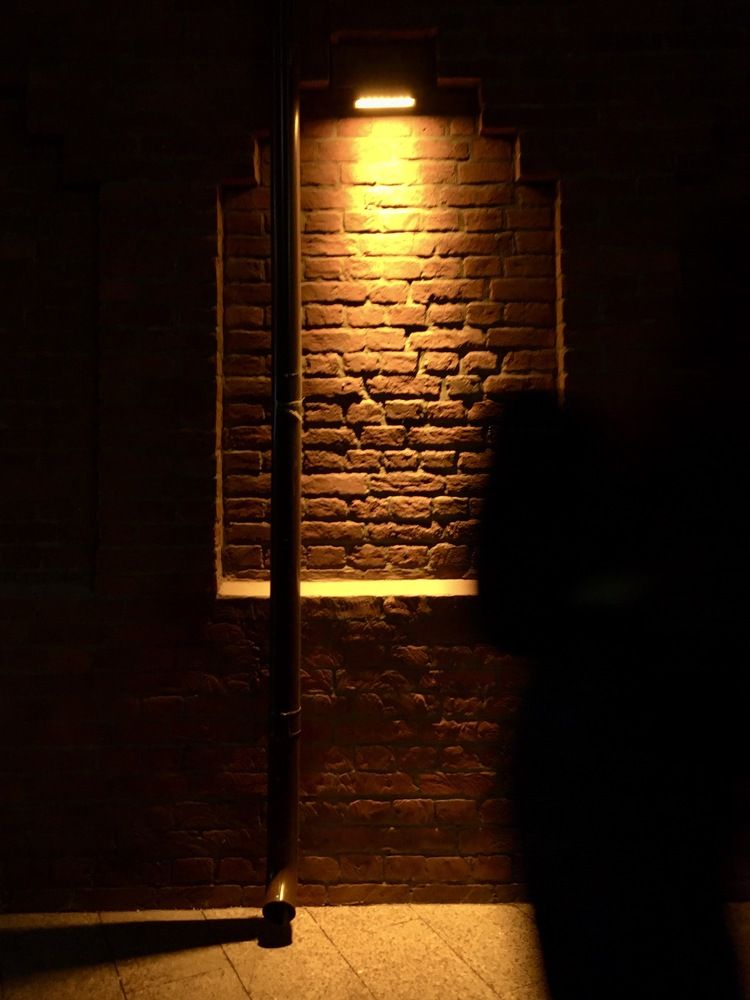 Photograph by Михаил Алещенков