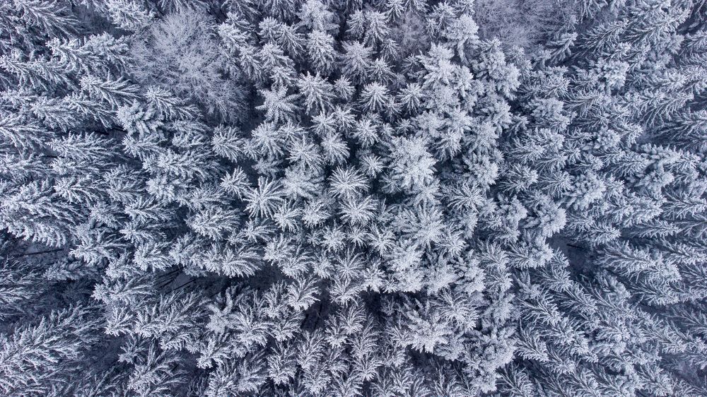 Photograph by Юрий Кравцов