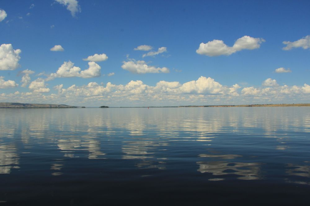 Photograph by Алена Родионова