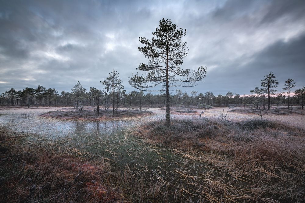 Photograph by Антон Кононов