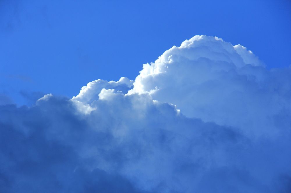 Photograph by Алена Родионова