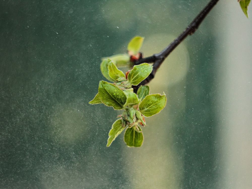 Photograph by Екатерина Колот