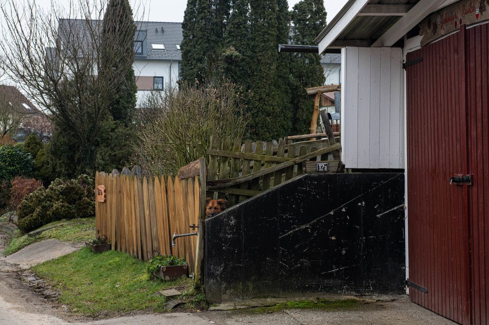 Photograph by Schewzow Lana