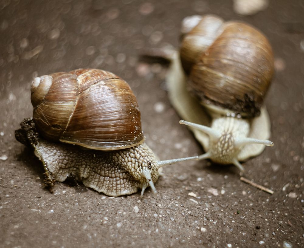 Photograph by Екатерина Колот