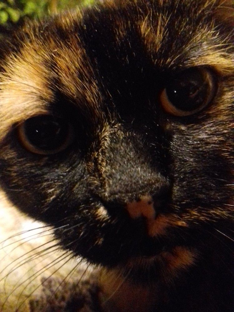 Фотография автора Владислава Андрюнина