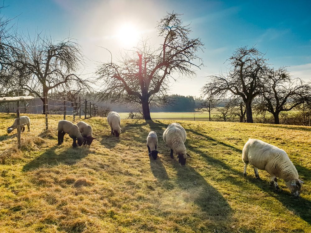 Photograph by Schewzow Lana