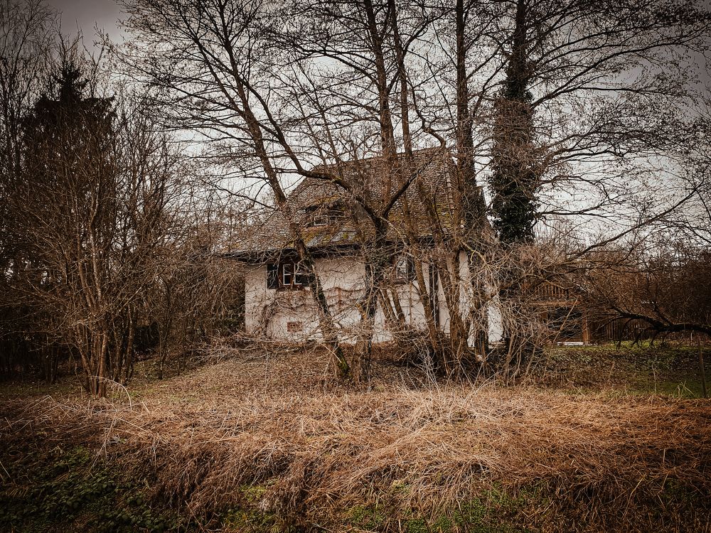 Photograph by Schewzow Lana