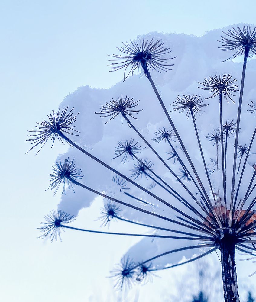 Photograph by Anna Sindikayeva