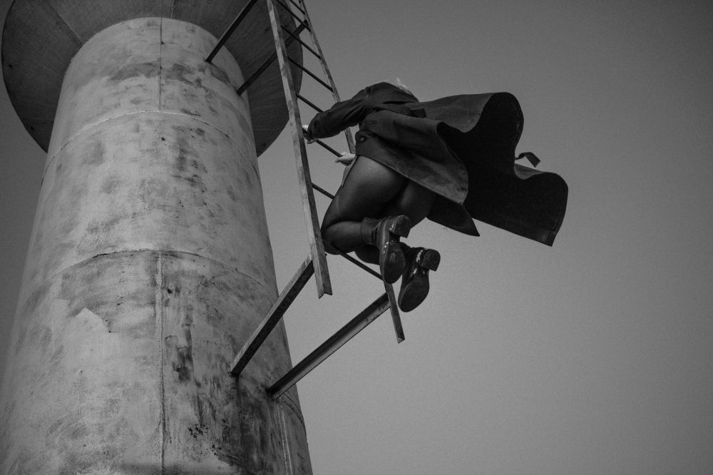 Ветер с полей