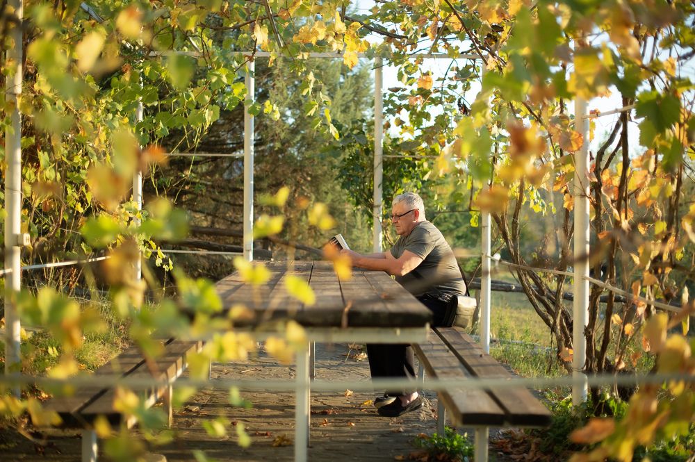 Photograph by Ирина Сахарчук