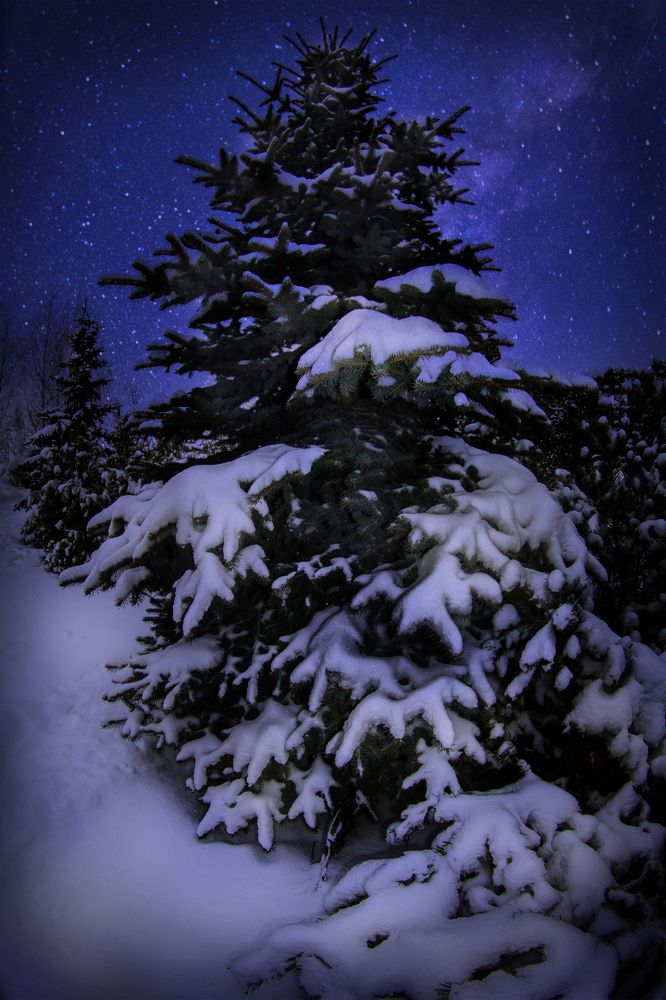 Фотография автора Дмитрий Нефёдов