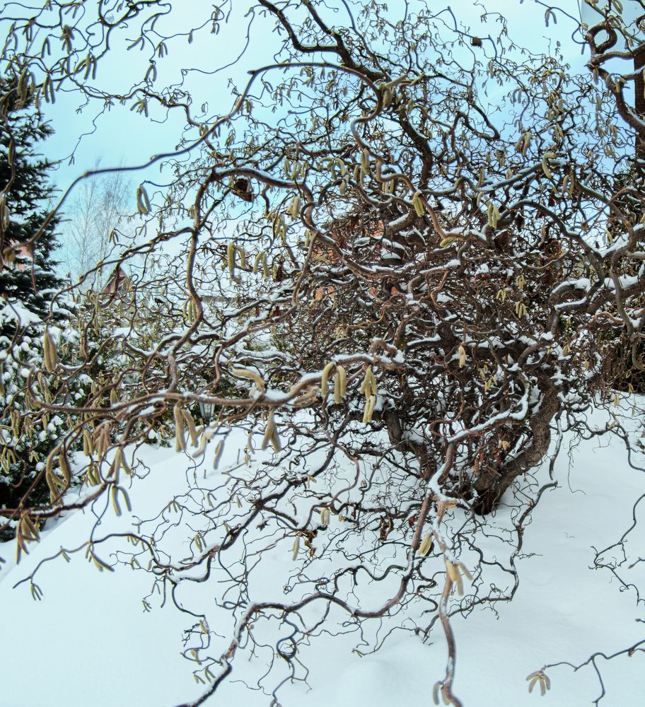 Фотография автора Дмитрий Нефёдов