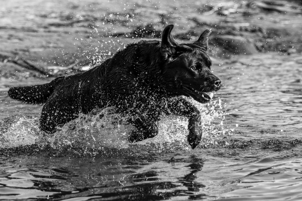 Photograph by Мария Новоселецкая