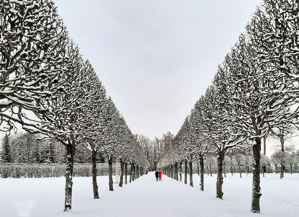 Photograph by Ольга Виноградова