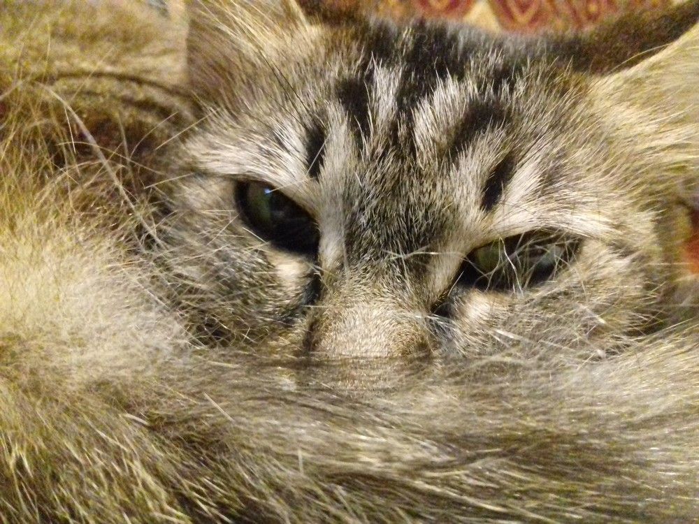 Фотография автора Владислава Андрюнина