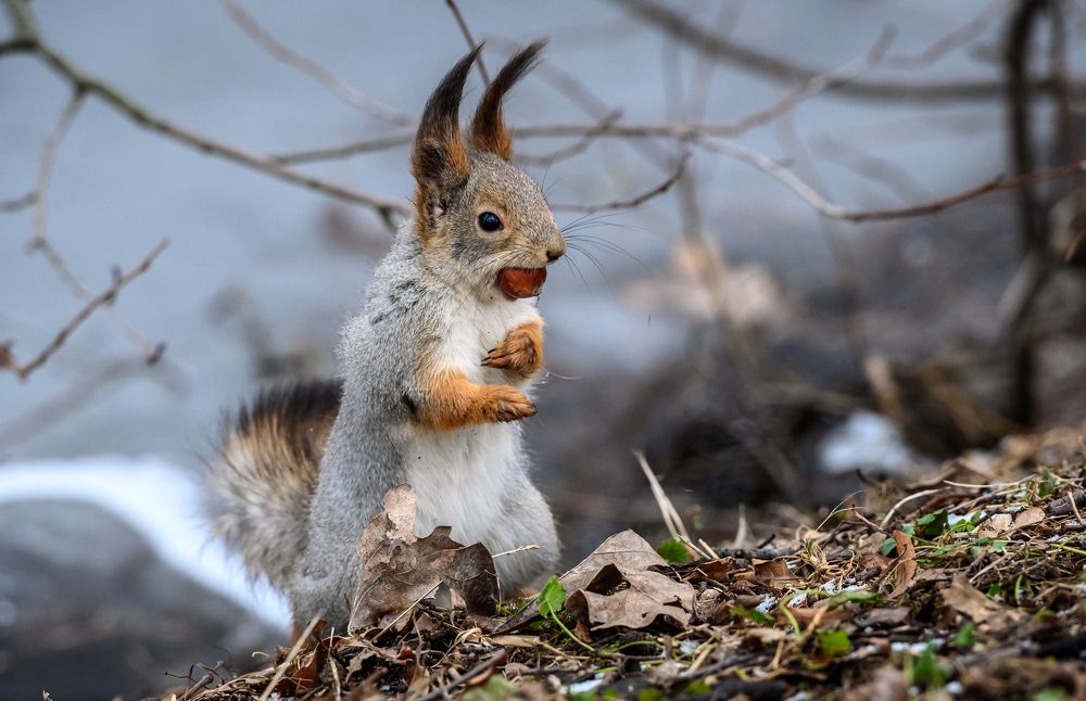 Photograph by Мария Новоселецкая
