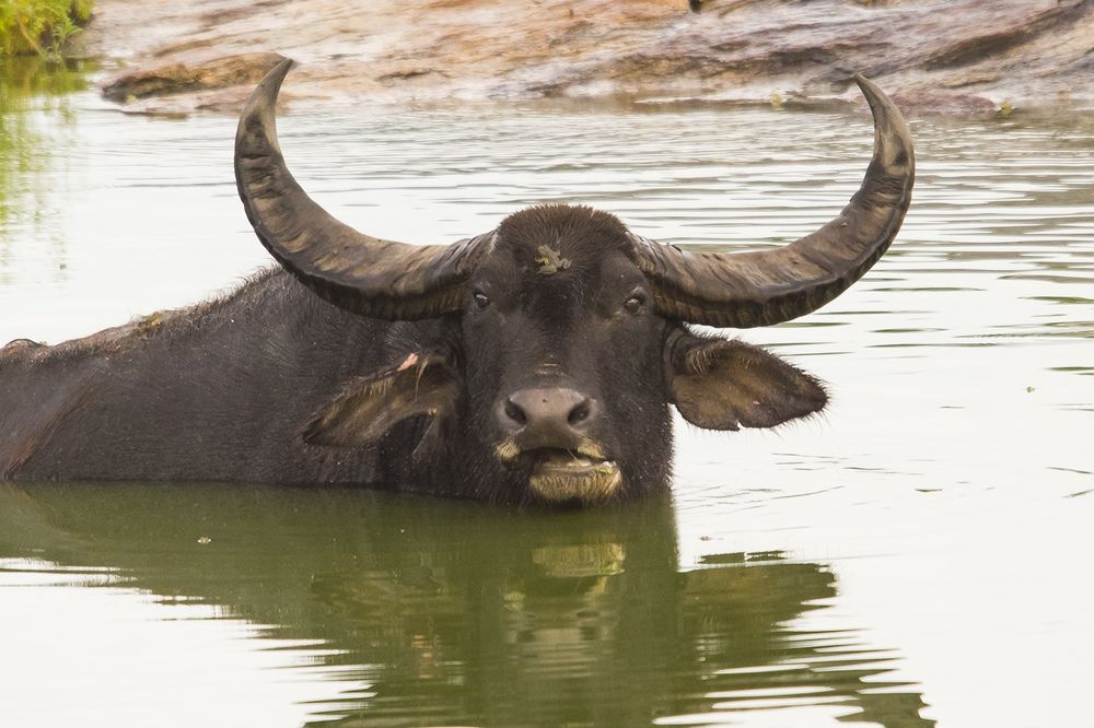 Photograph by Александр