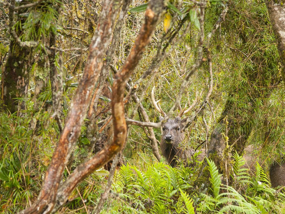 Photograph by Александр