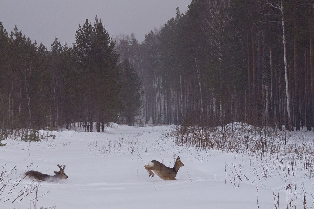 Photograph by Александр