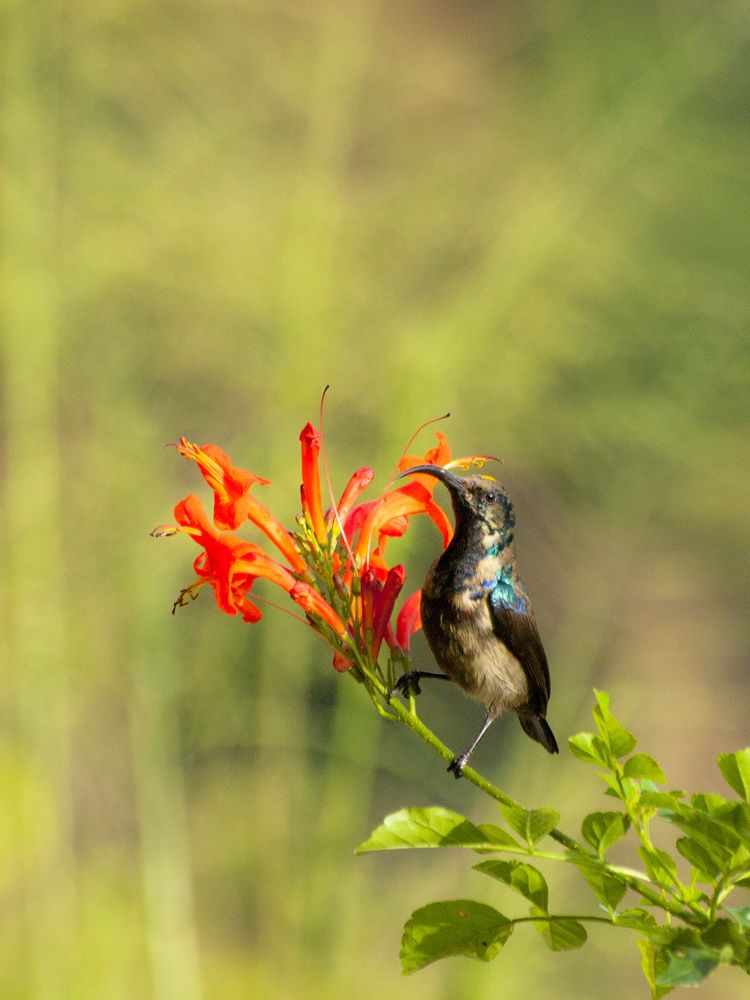 Photograph by Александр