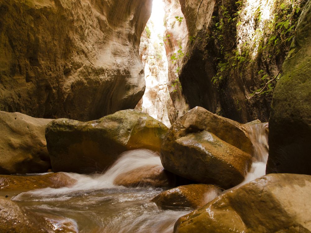 Photograph by Александр