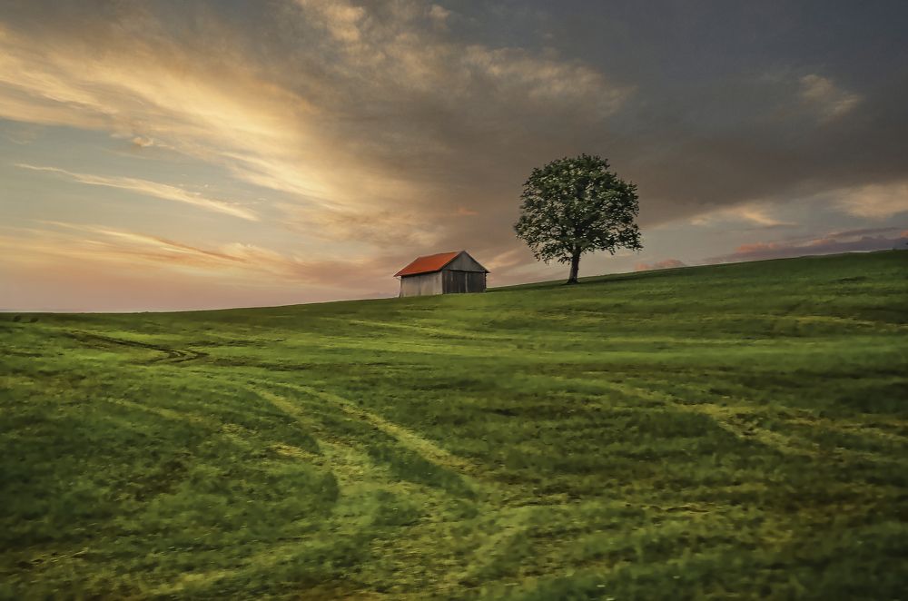 Photograph by Yana Rybakov