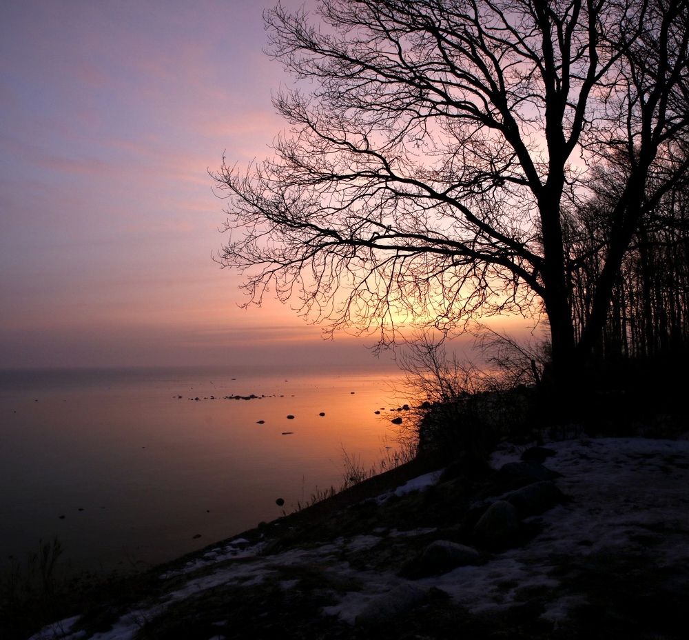 Photograph by 