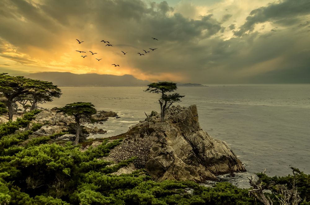 Photograph by Yana Rybakov