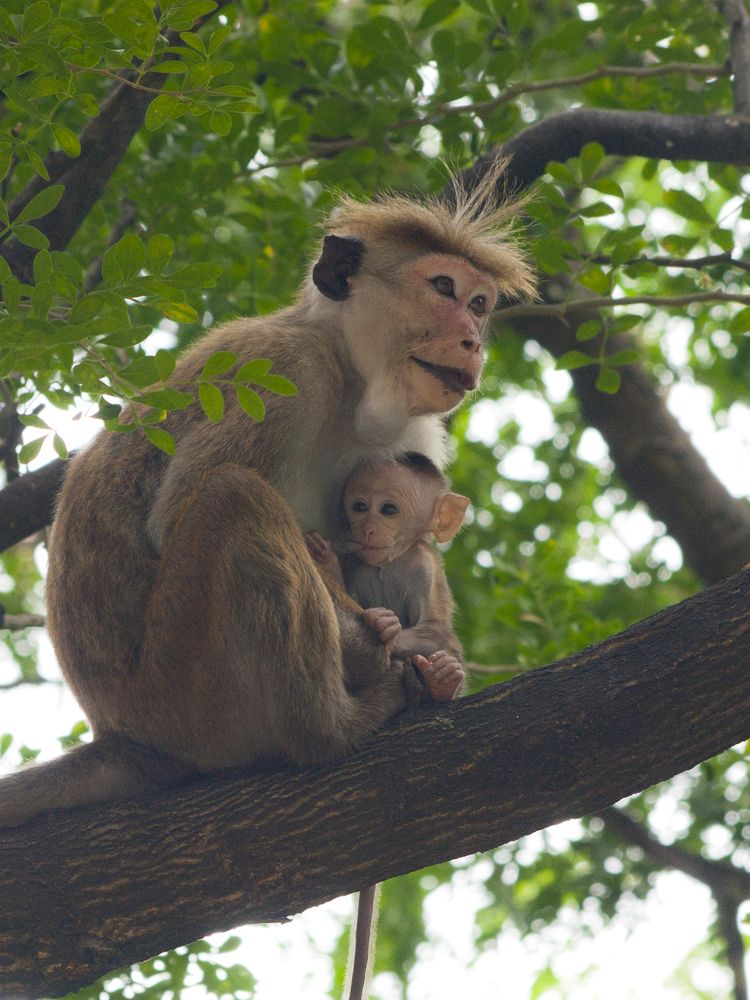 Photograph by Александр