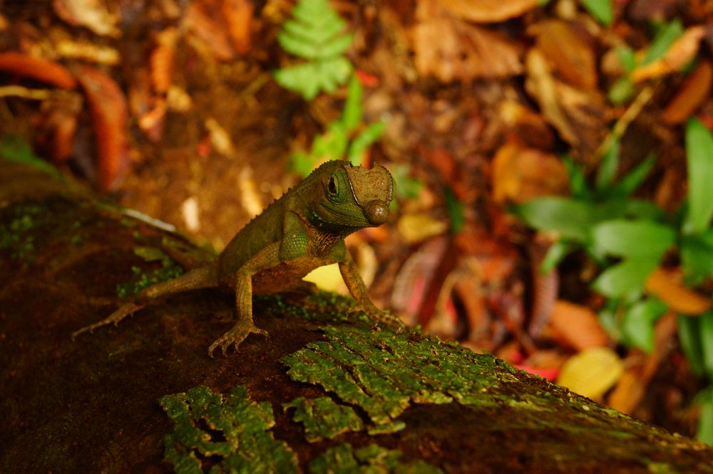 Photograph by Александр