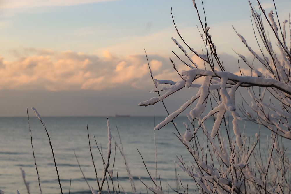 Photograph by Александр