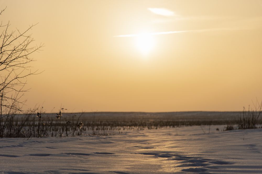 Photograph by Irina Stanislavskaya