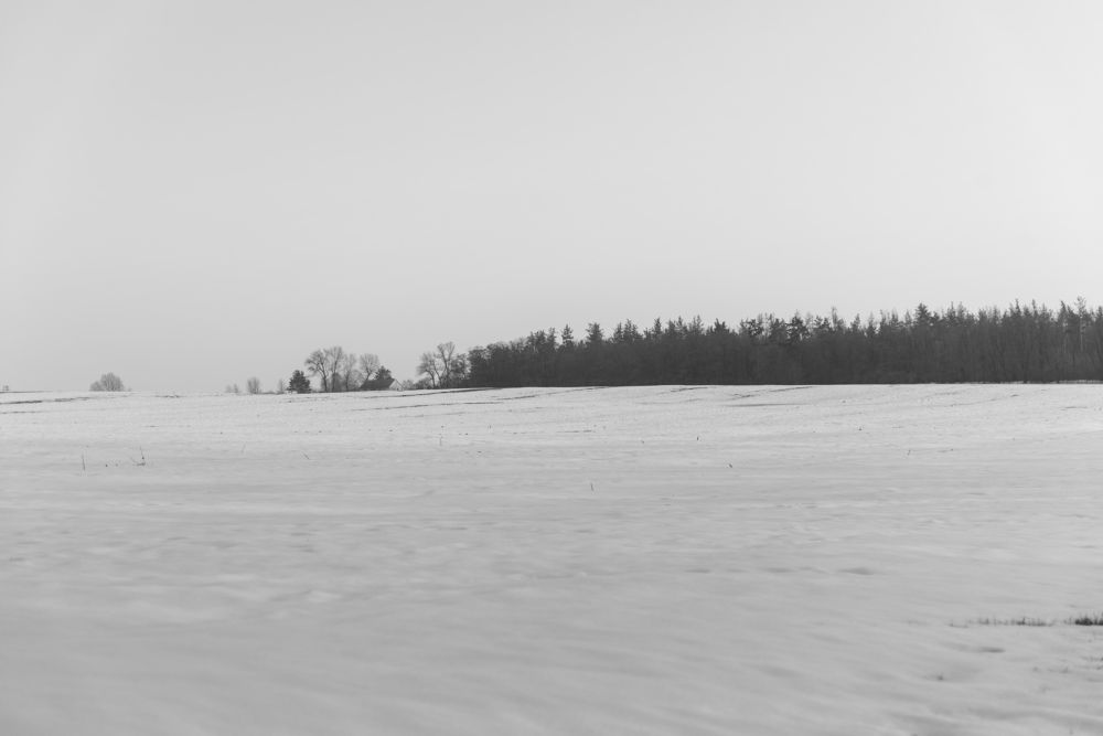 Photograph by Irina Stanislavskaya