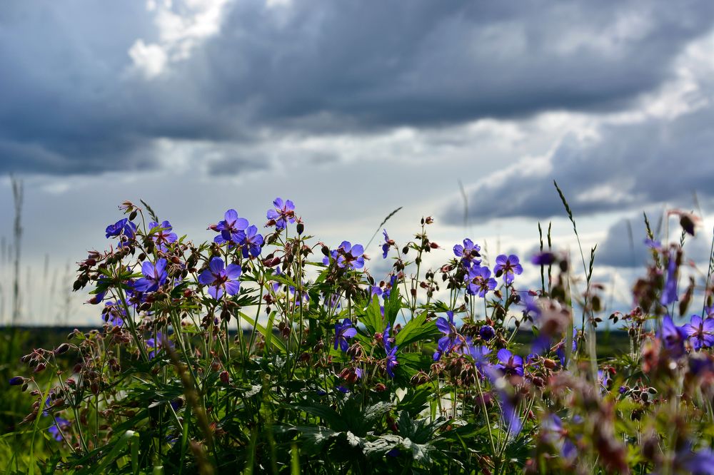 Photograph by Анатолий Орлов