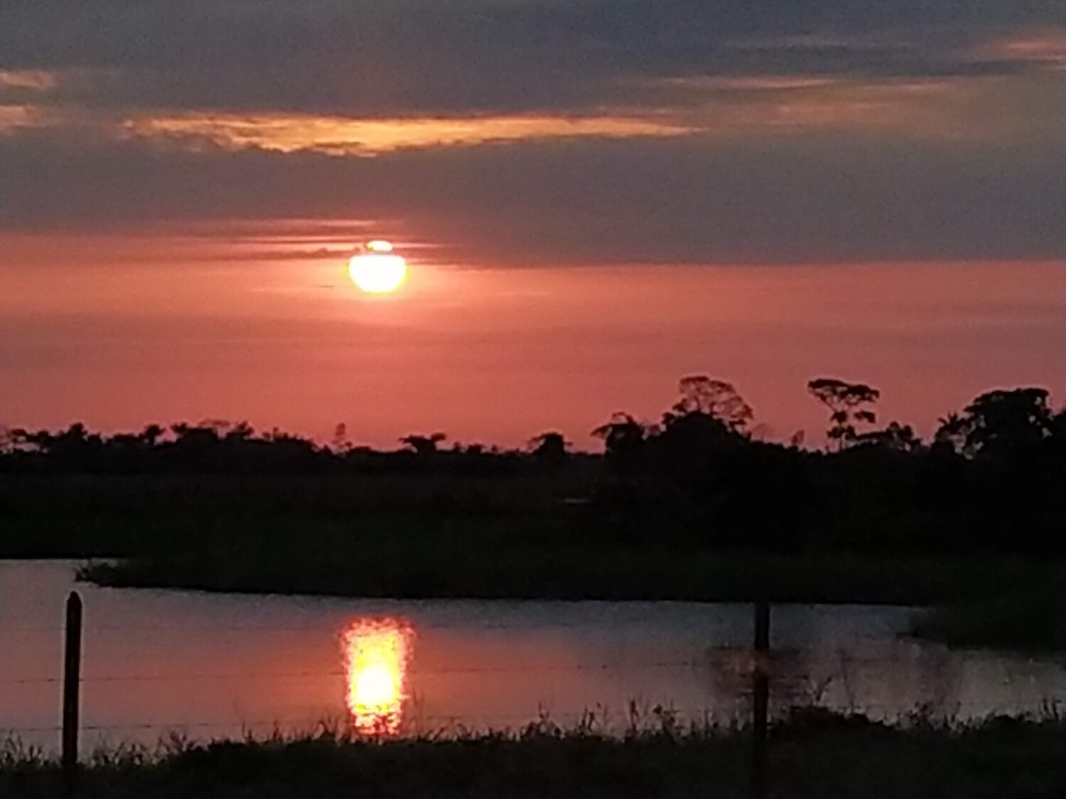 Photo #5921419