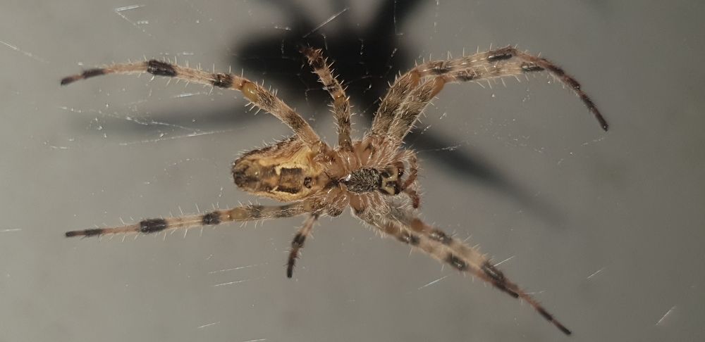 Photograph by Martin Petkovski