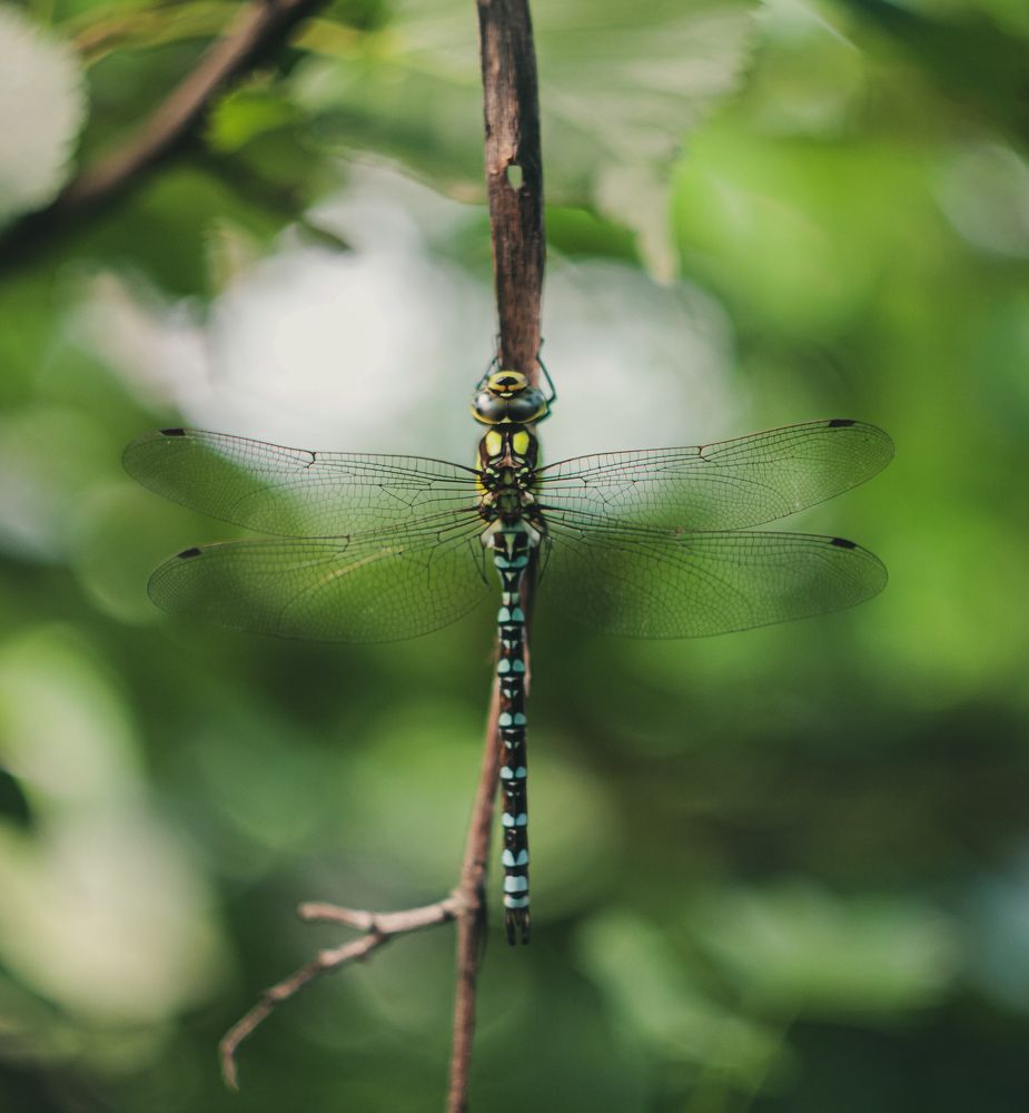 Photograph by Екатерина Колот