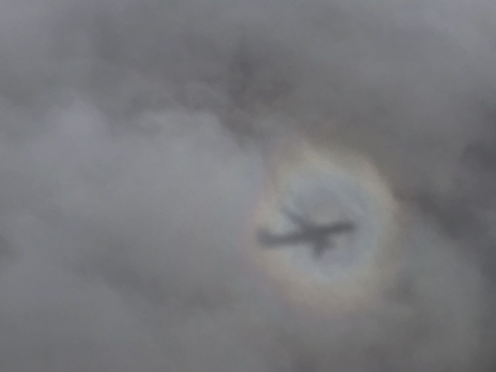 Фотография автора Najla Angawi