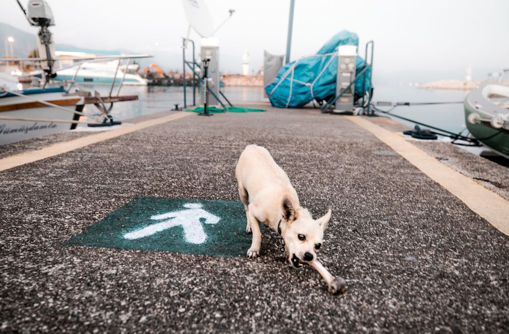 Тут безопасно, - говорили они..